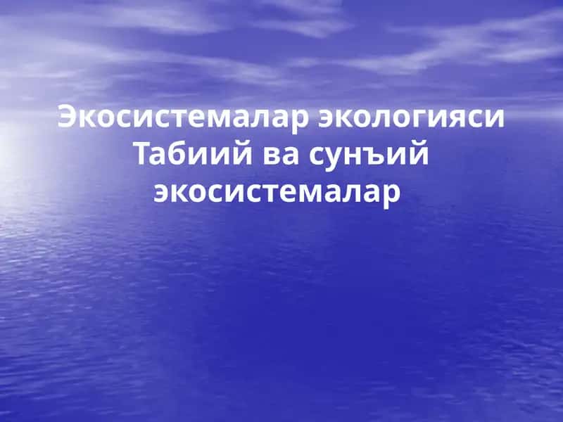 Экосистемалар эологияси