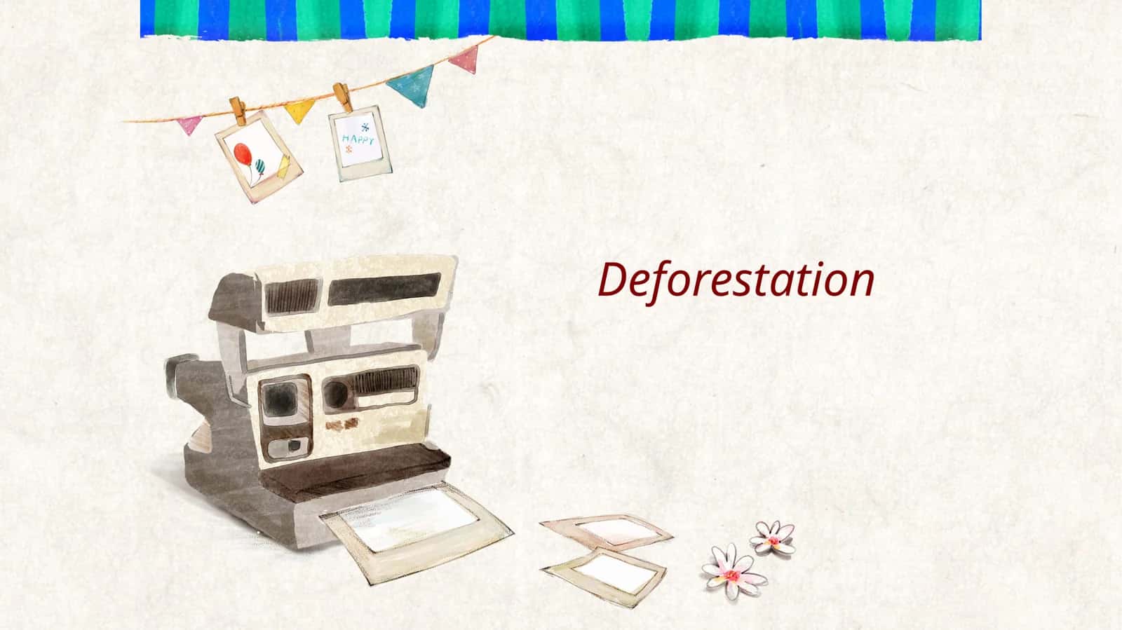 Deforestation