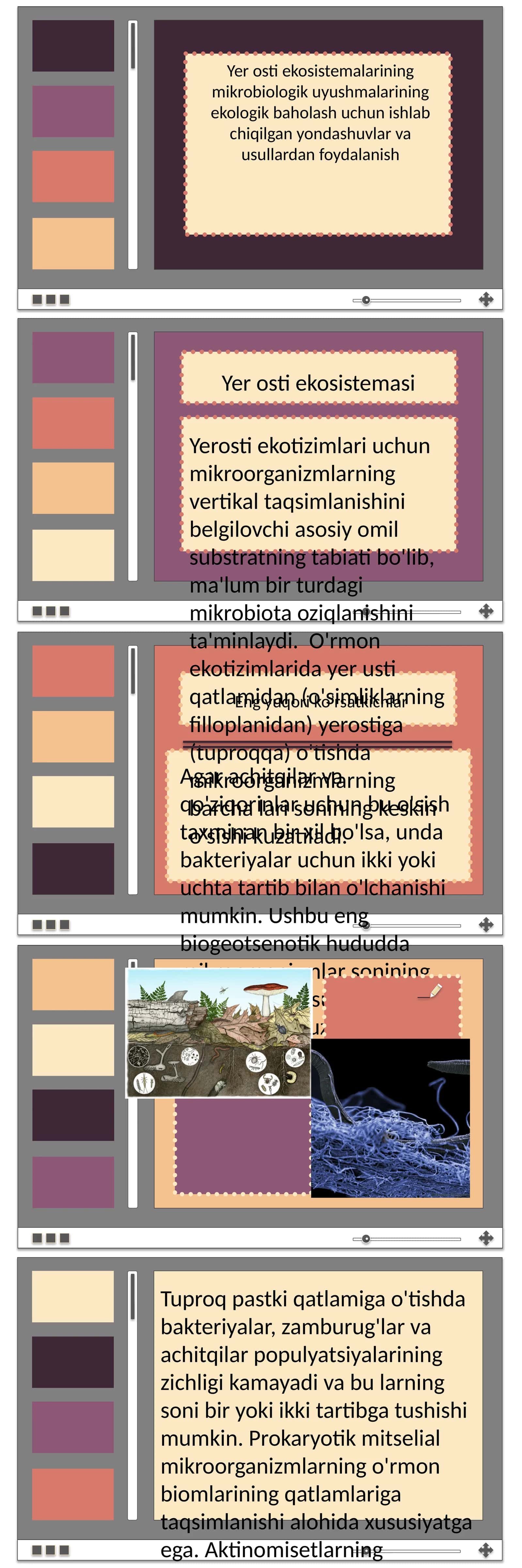 Agar achitqilar va qo'ziqorinlar