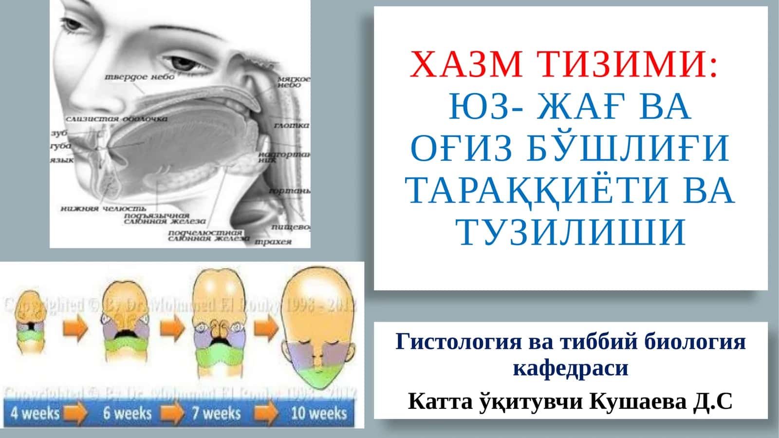Хазмтизими