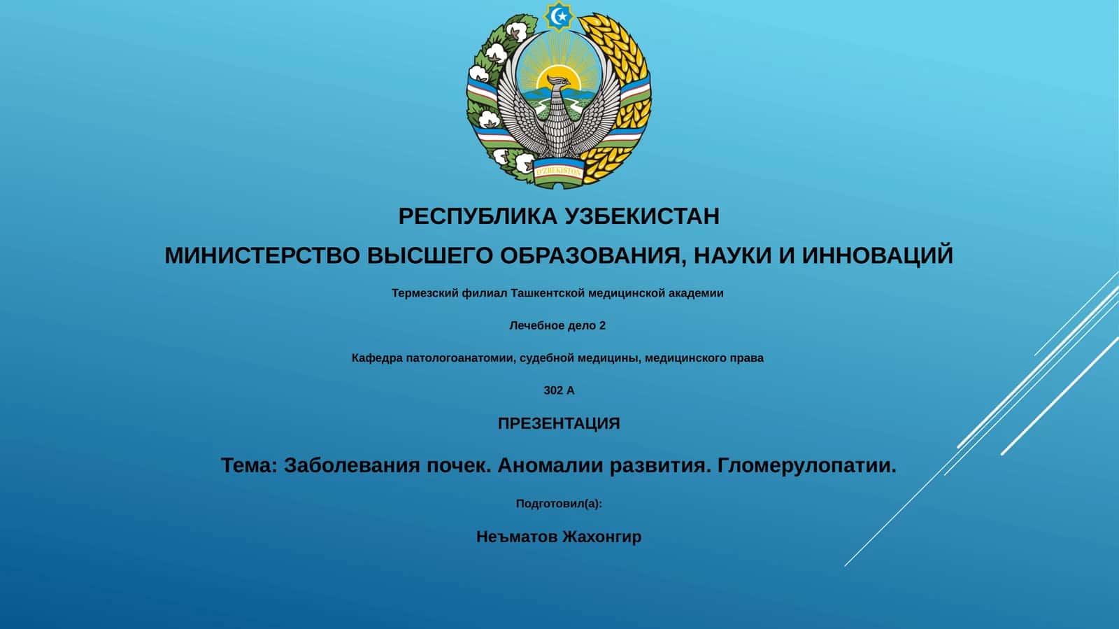 Лечебное дело 2
