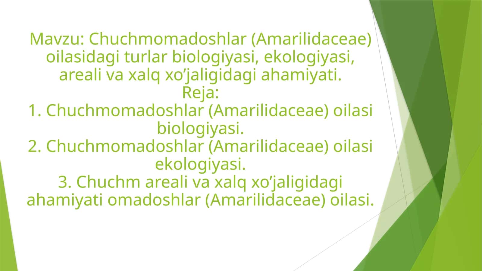 Chuchmomadoshlar oilasi (Chuchmomadoshlar)