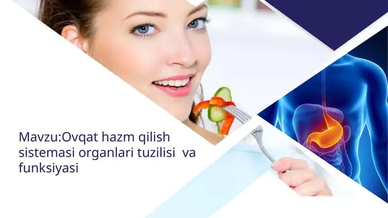 OVQAT HAZM QILISH SISTEMASI VA VAZIFALARI