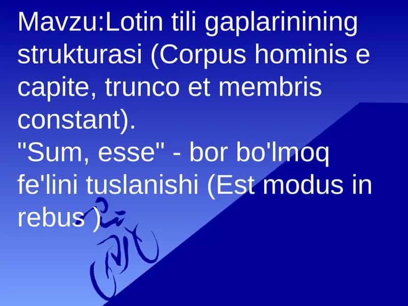 Lotin tili gaplarinining strukturasi