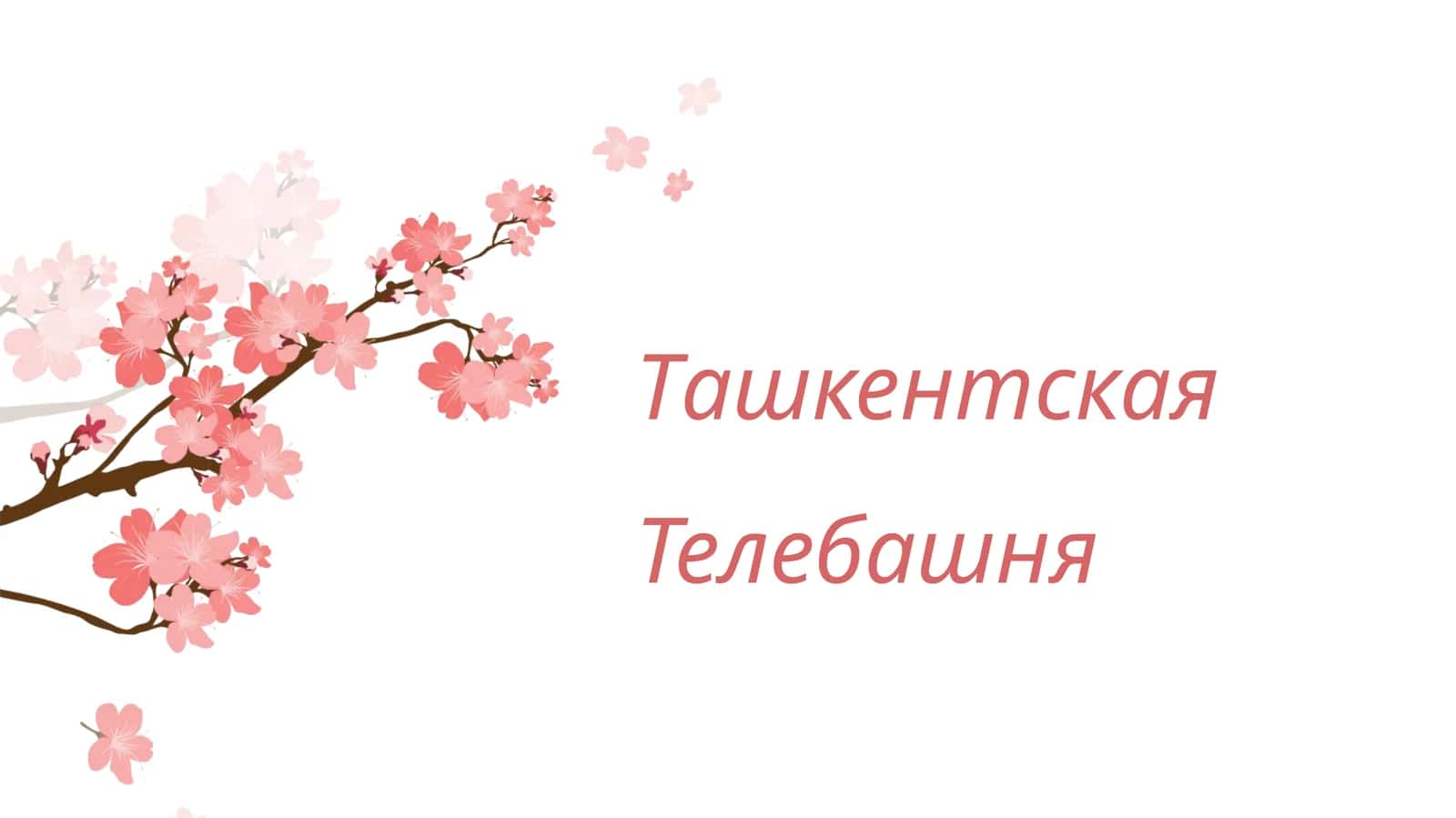 Ташкентская Телебашня
