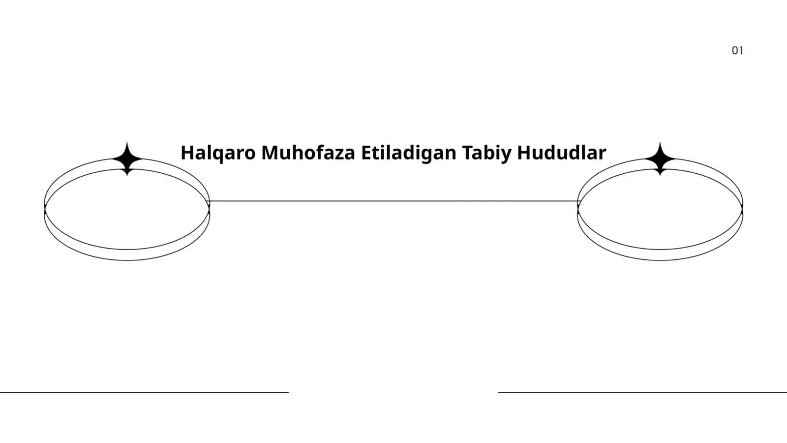 Halqaro Muhofaza Etiladigan Tabiy Hududlar