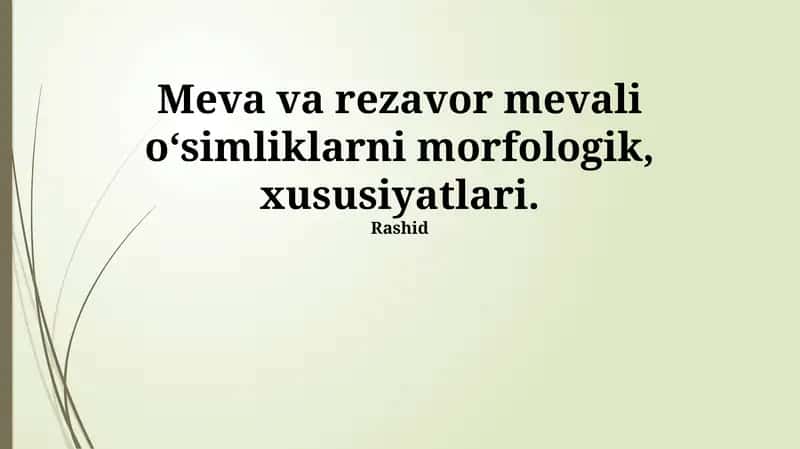 Meva va rezavor o'simliklar