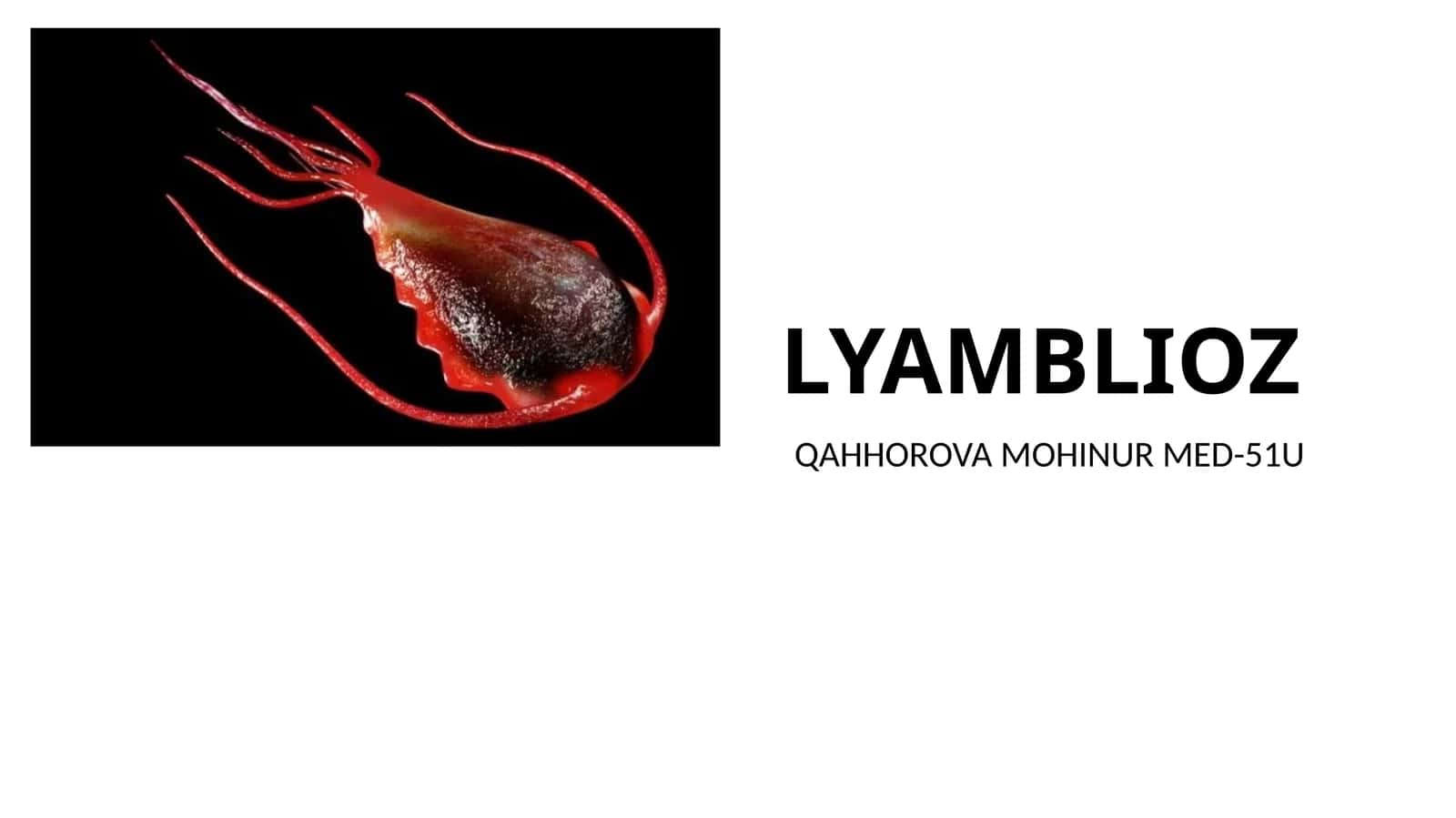 LYAMBLIOZ