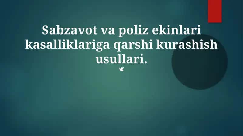 Sabzavot va poliz ekinlari kasalliklariga qarshi kurashish usullari