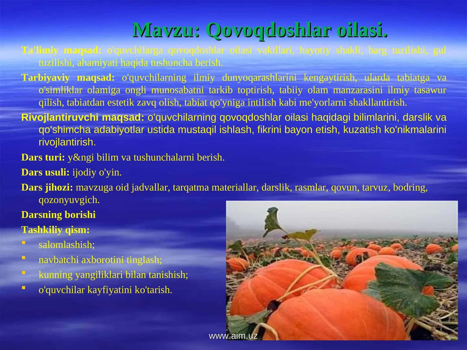 Qovoqdoshlar oilasi