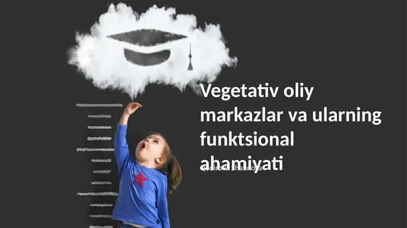 Vegetativ oliy markazlar va ularning funktsional ahamiyati