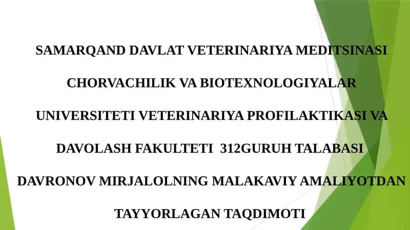Davronov Mirjalolning Malakaviy Amaliyotdan Tayyorga Taqdimoti