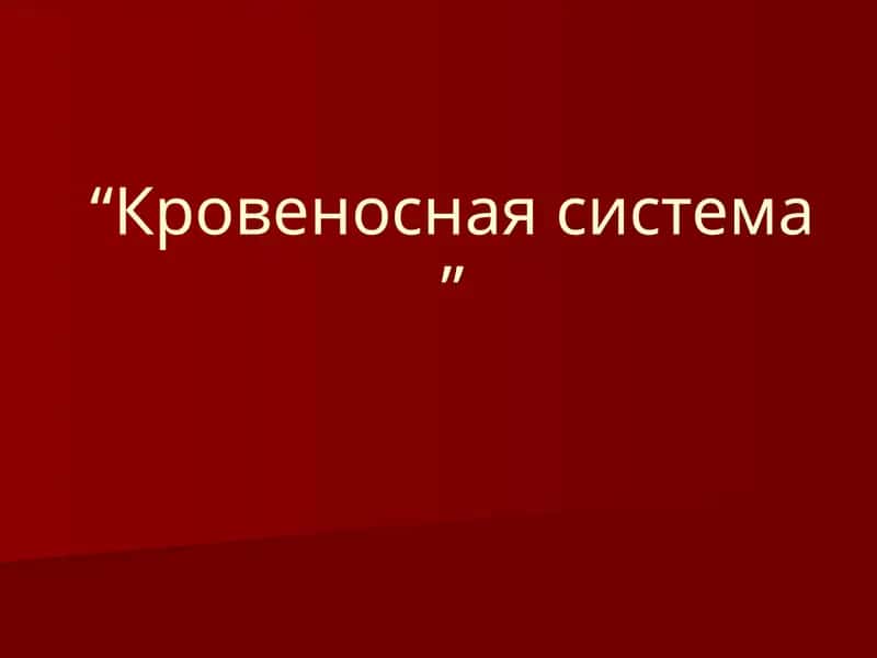 Кровеносная система