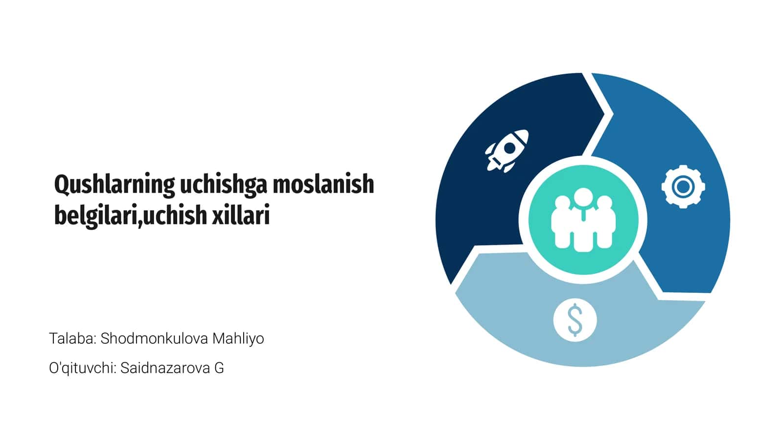 Qushlarning uchishga moslanish belgilari, uchish xillari