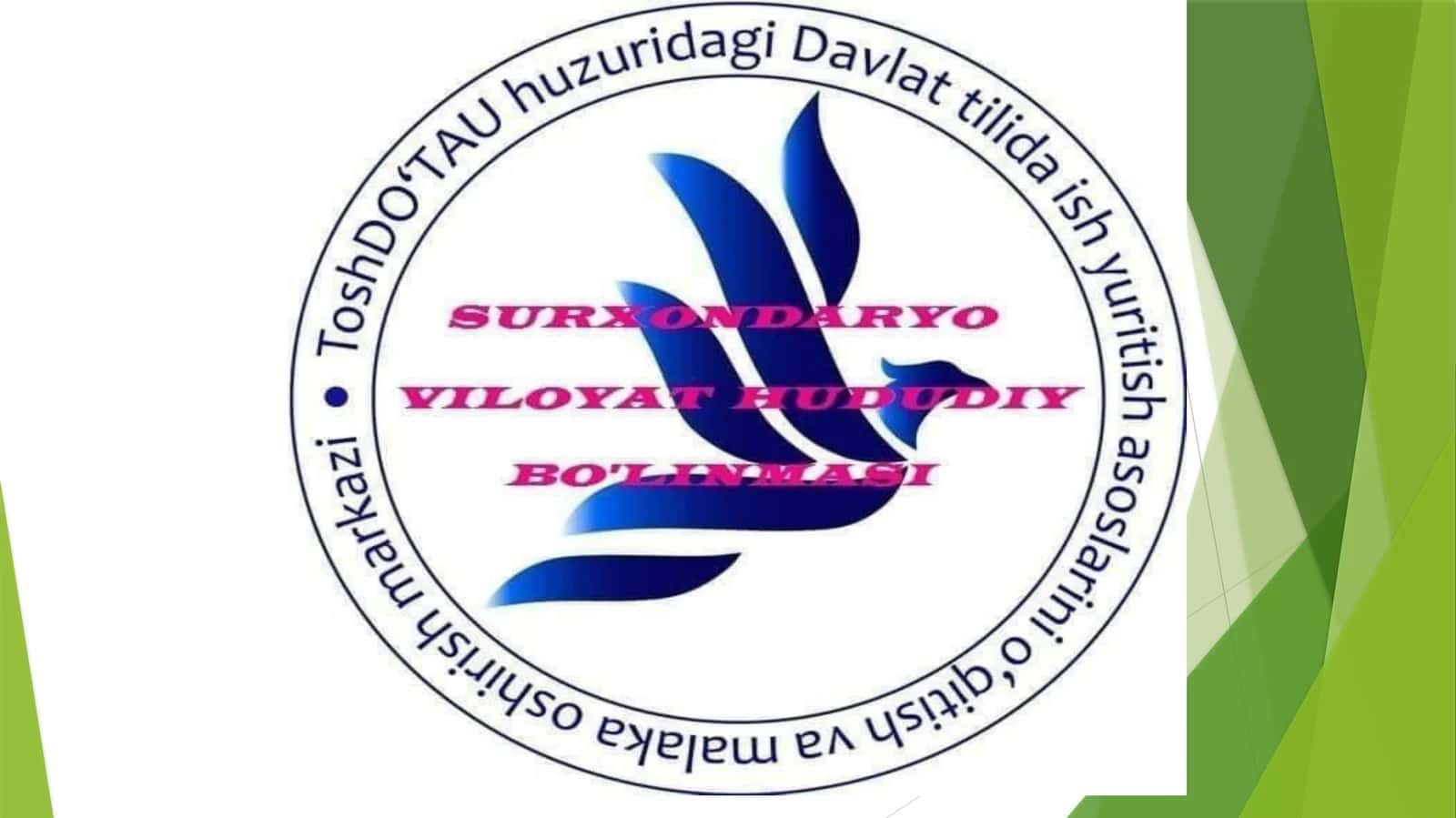Tushuntirish xati