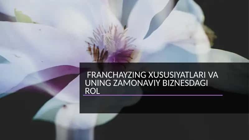 Franchayzing xususiyatlari va uning zamonaviy biznesdagi roli