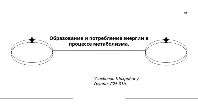 Образование и потребление энергии в процессе метаболизма