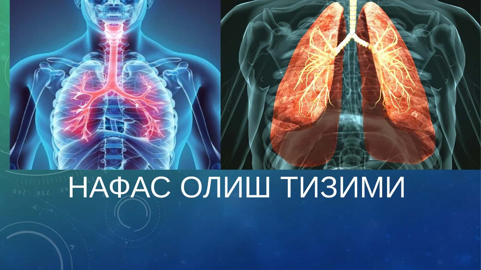 НАФАС ОЛИШ ТИЗИМИ