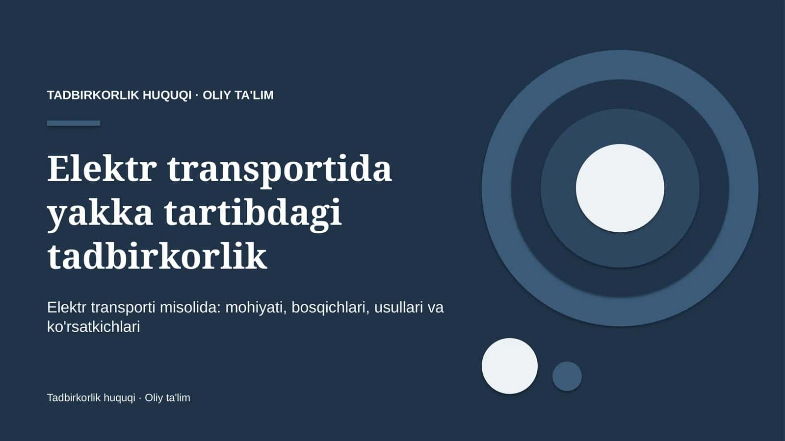 Elektr transportida yakka tartibdagi tadbirkorlik