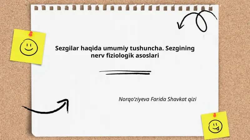 Sezgilar haqida umumiy tushuncha
