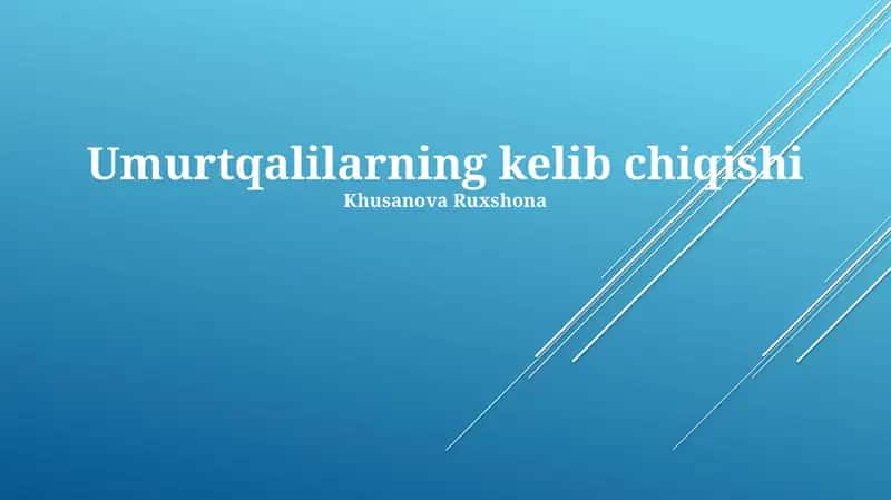 Umurtqalilarning kelib chiqishi