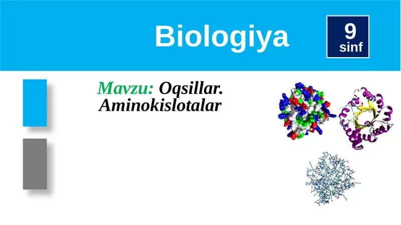 Oqsillar.Aminokislotalar