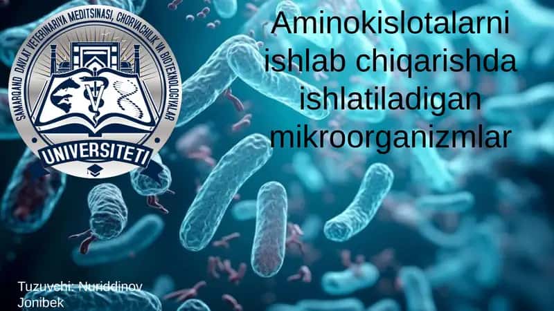 Aminokislotalarni ishlab chiqarishda ishlatiladigan mikroorganizmlar