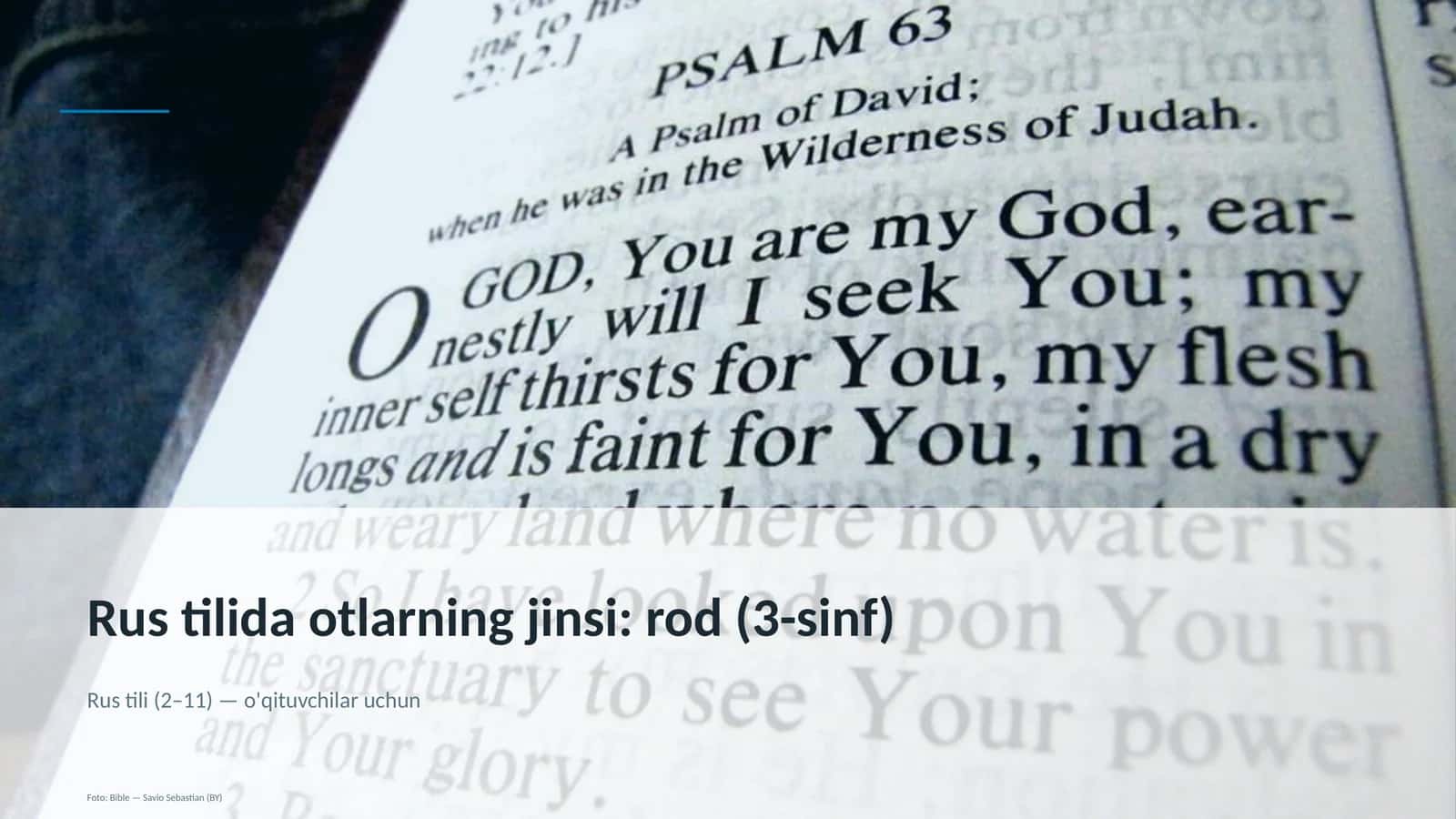 Rus tilida otlarning jinsi: rod (3-sinf)
