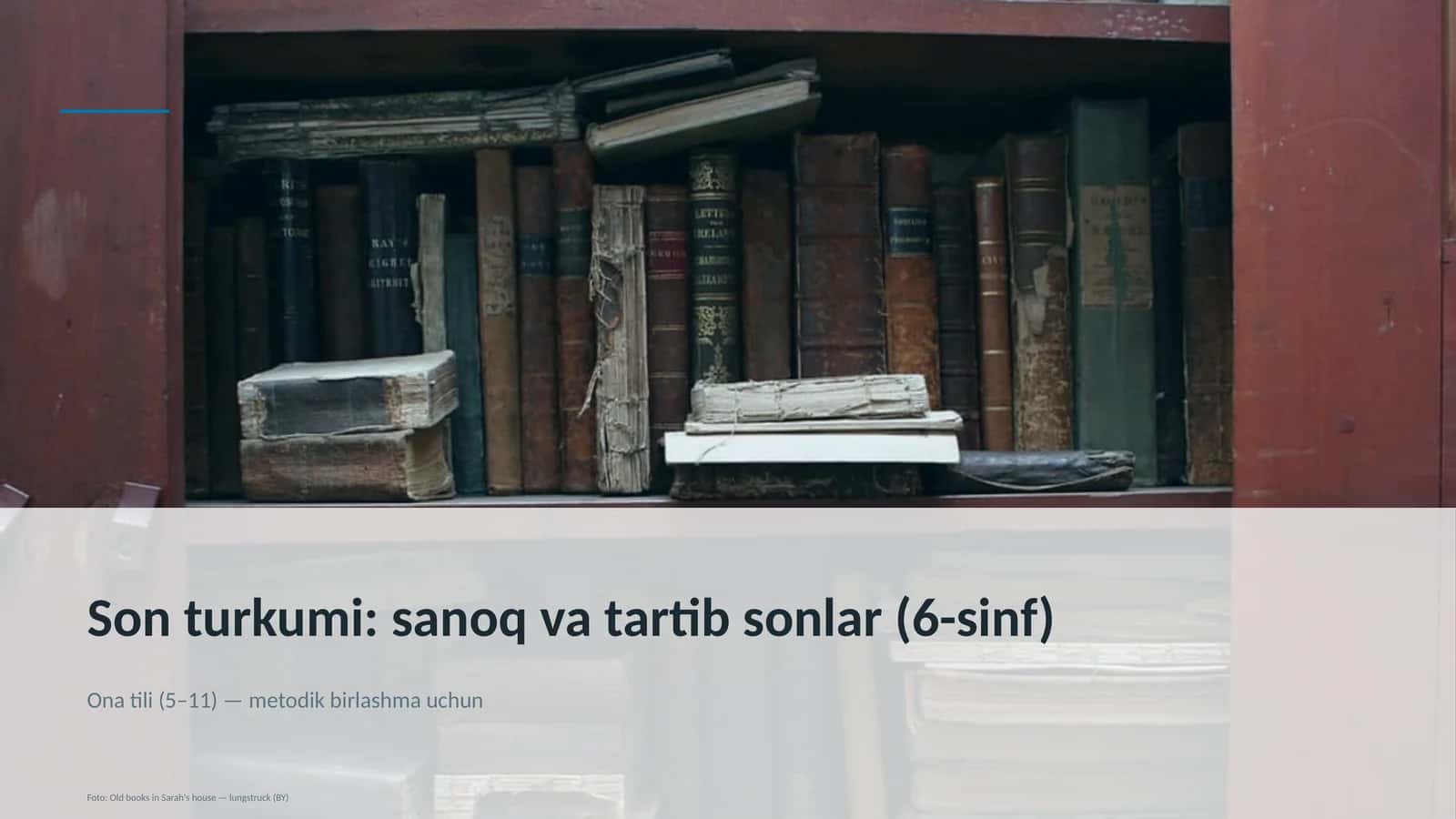 Ona tili (5-11) — metodik birlashma uchun
