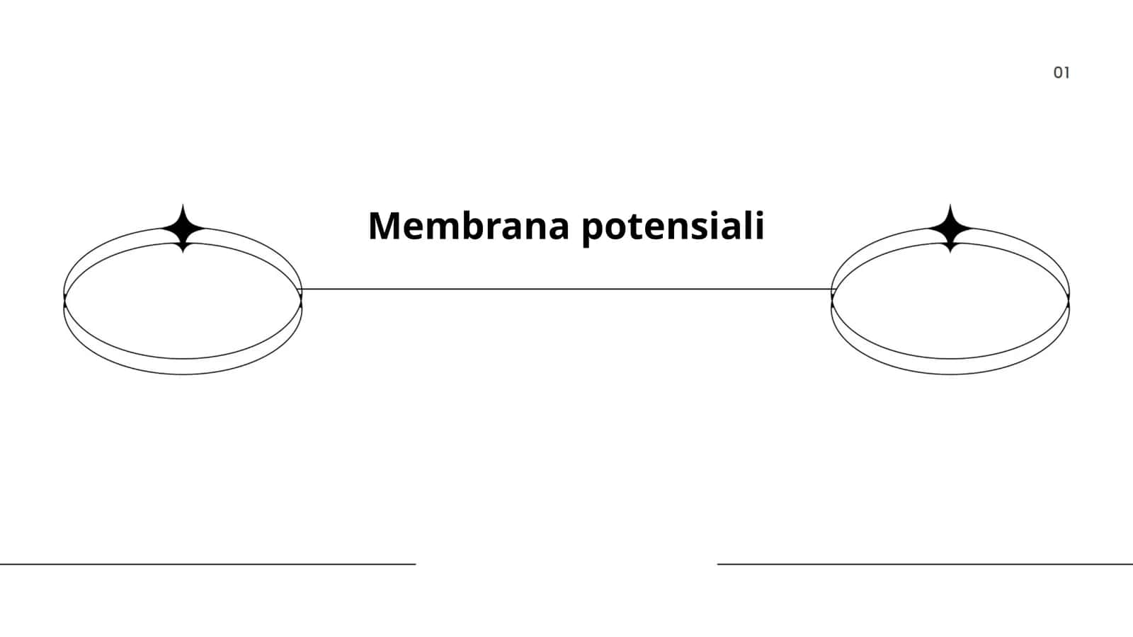 Membrana potensiali