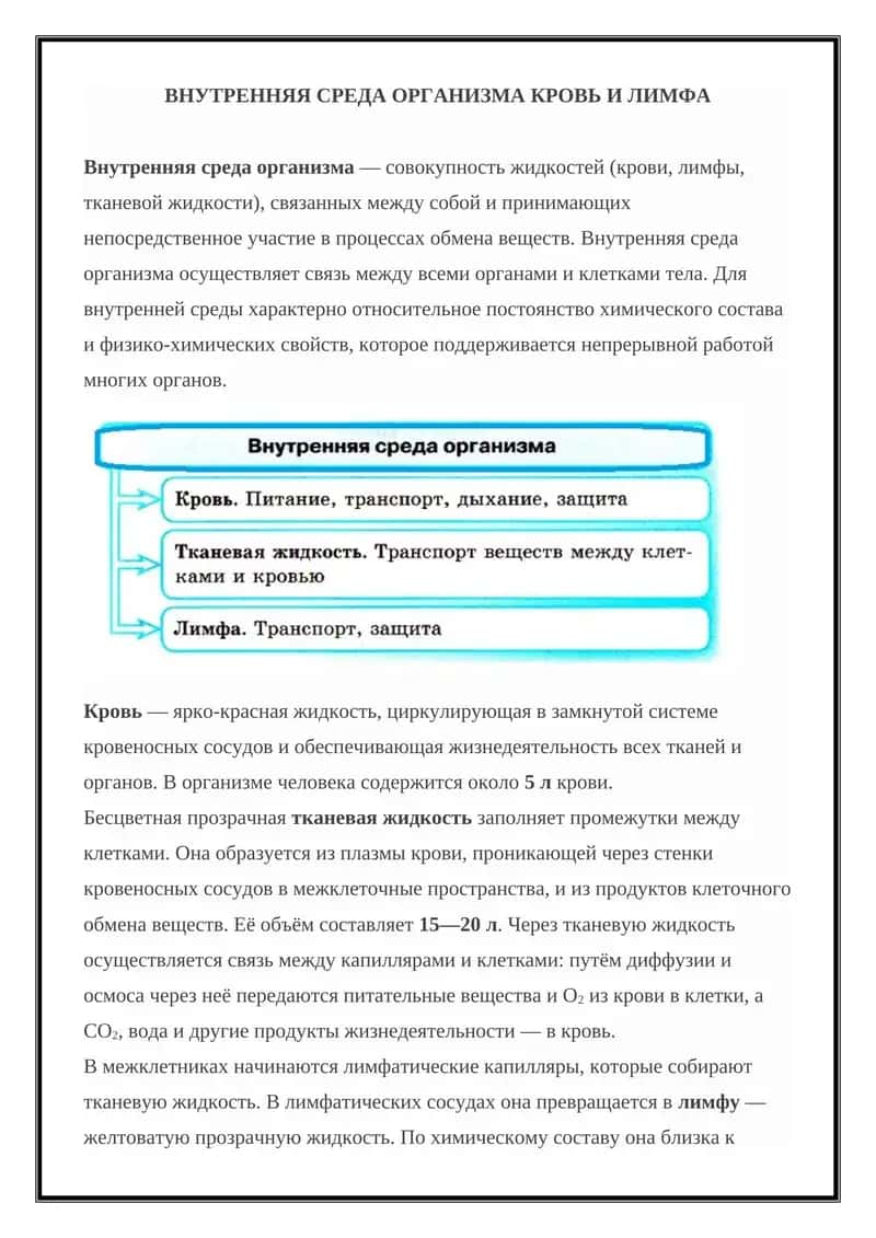 Внутренняя среда организма