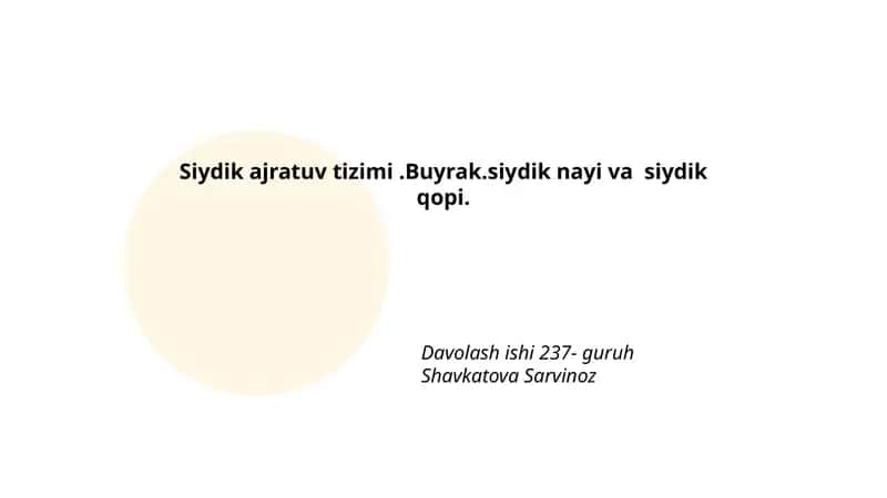 Buyrak anatomiyasi va pozitsiyasi