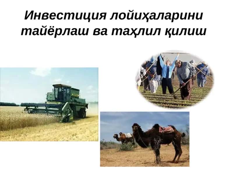 Инвестиция лойиҳаларини тайёрлаш ва таҳлил қилиш