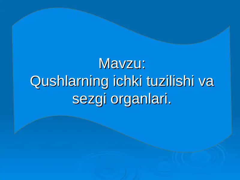 Qushlarning ichki tuzilishi va sezgi organlari