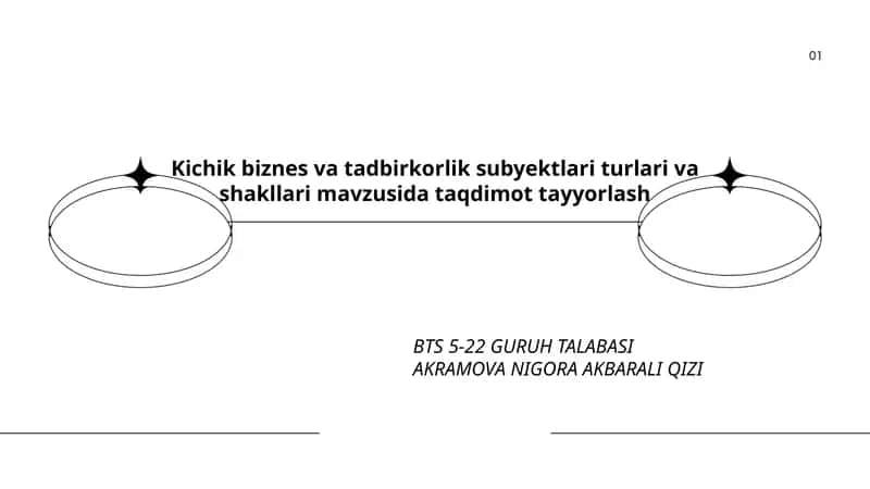 Kichik biznes va tadbirkorlik subyektlari turlari va shakllari