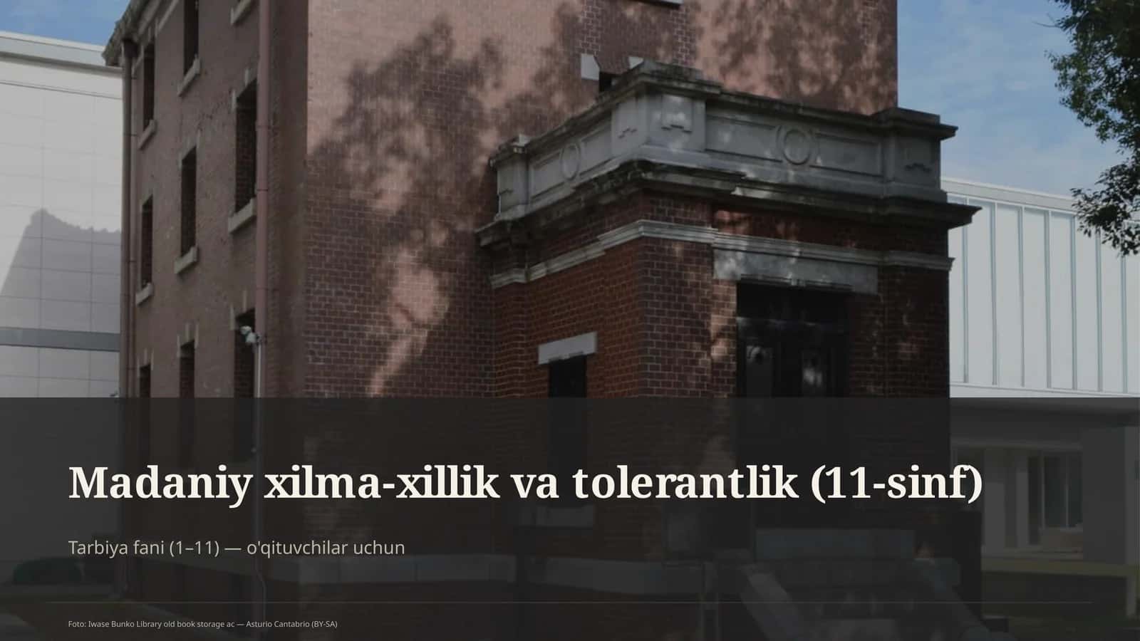 Madaniy xilma-xillik va tolerantlik (11-sinf)