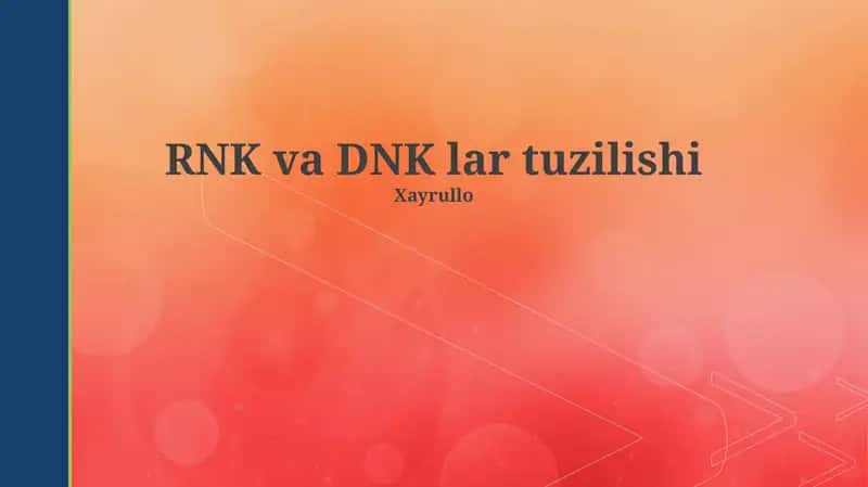 RNK va DNK lar tuzilishi