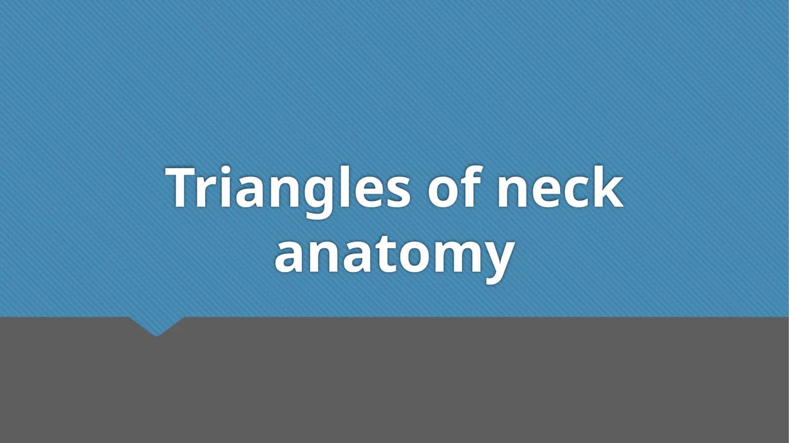 Triangles of neck anatomy