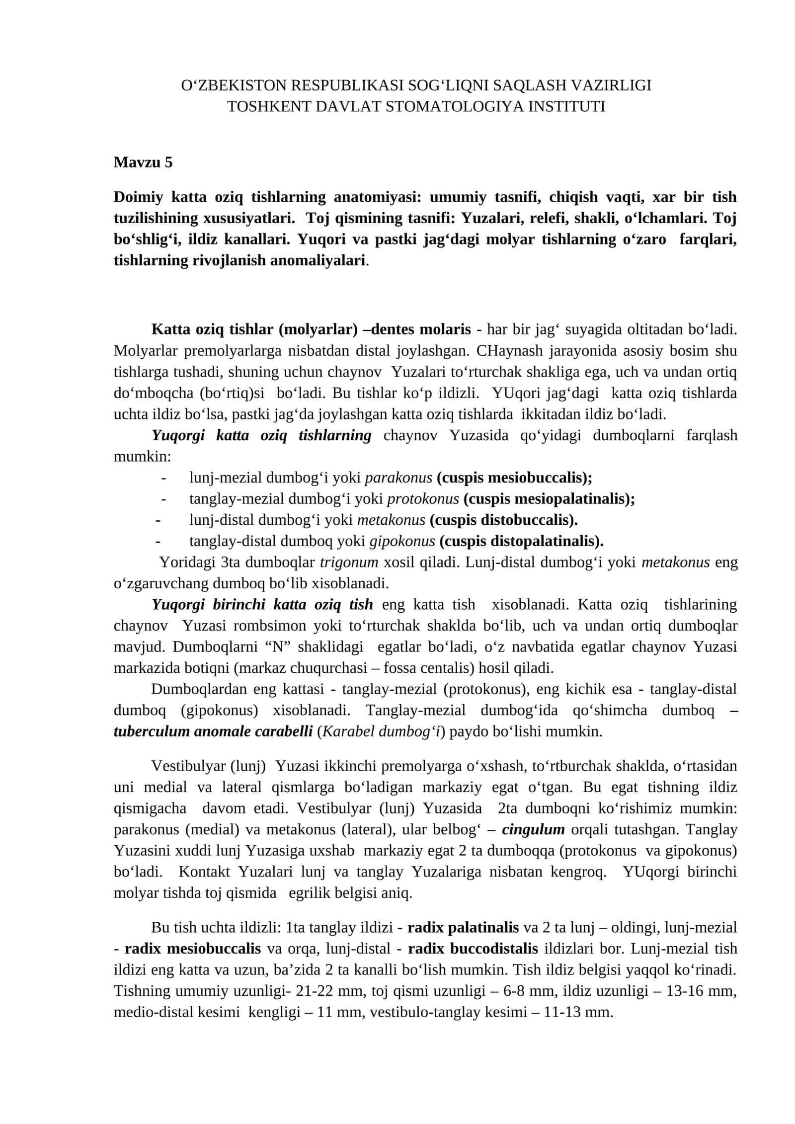 Doimiy katta oziq tishlarning anatomiyasi
