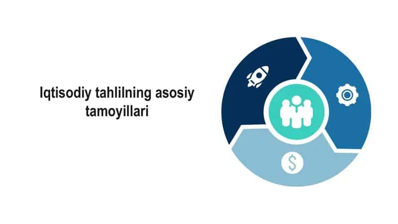 Iqtisodiy tahlilning asosiy tamoyillari