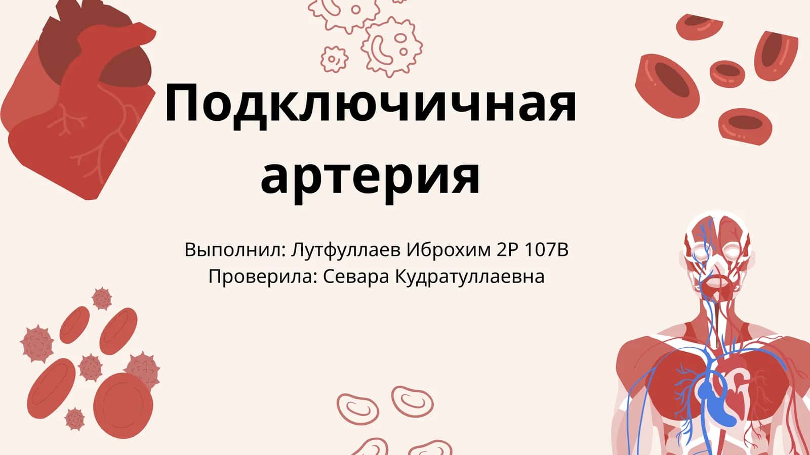 Подключичная артерия