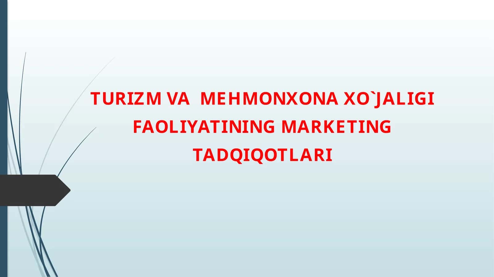 TURIZM VA MEHMONXONA XO`JALIGI FAOLIYATINING MARKETING TADQIQOTLARI