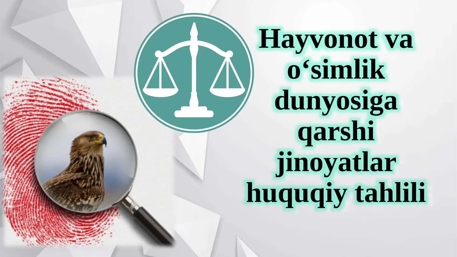 Hayvonot va o‘simlik dunyosiga qarshi jinoyatlar huquqiy tahlili