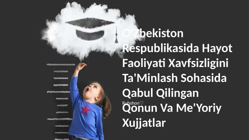 Hayot Faoliyati Xavfsizligini Ta'Minlash Sohasida Qabul Qilingan Qonun Va Me'Yoriy Xujjatlar