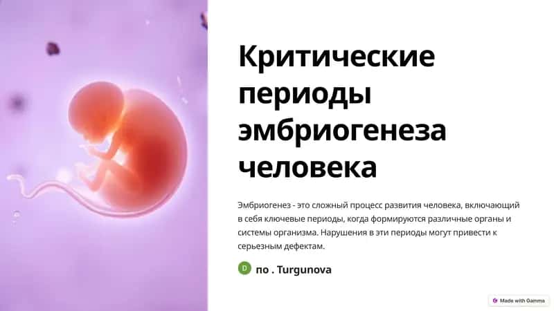 Гистология эмбриональных тканей