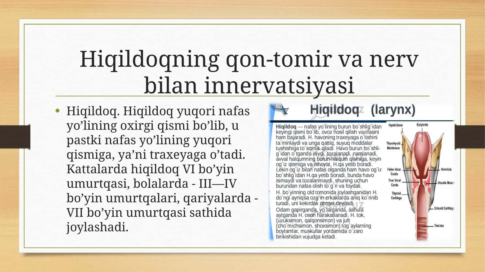 Hiqildoq