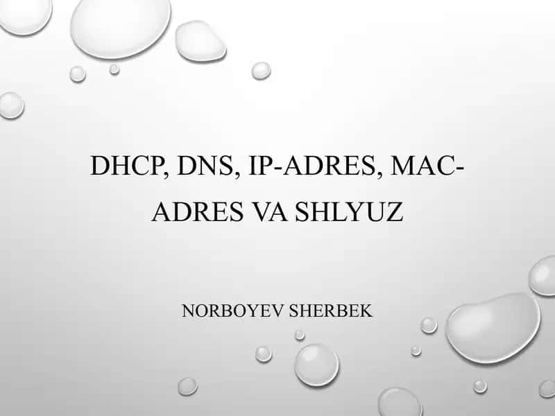 DHCP (Dynamic Host Configuration Protocol)