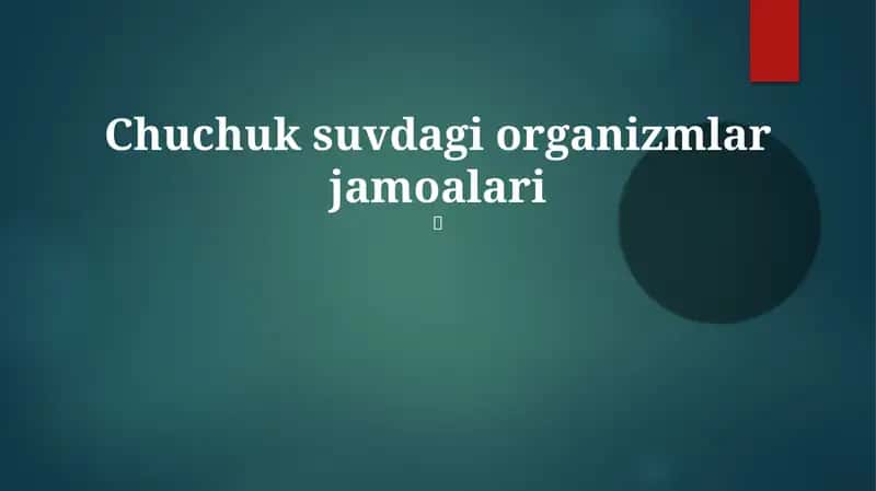 Chuchuk suvdagi organizmlar jamoalari