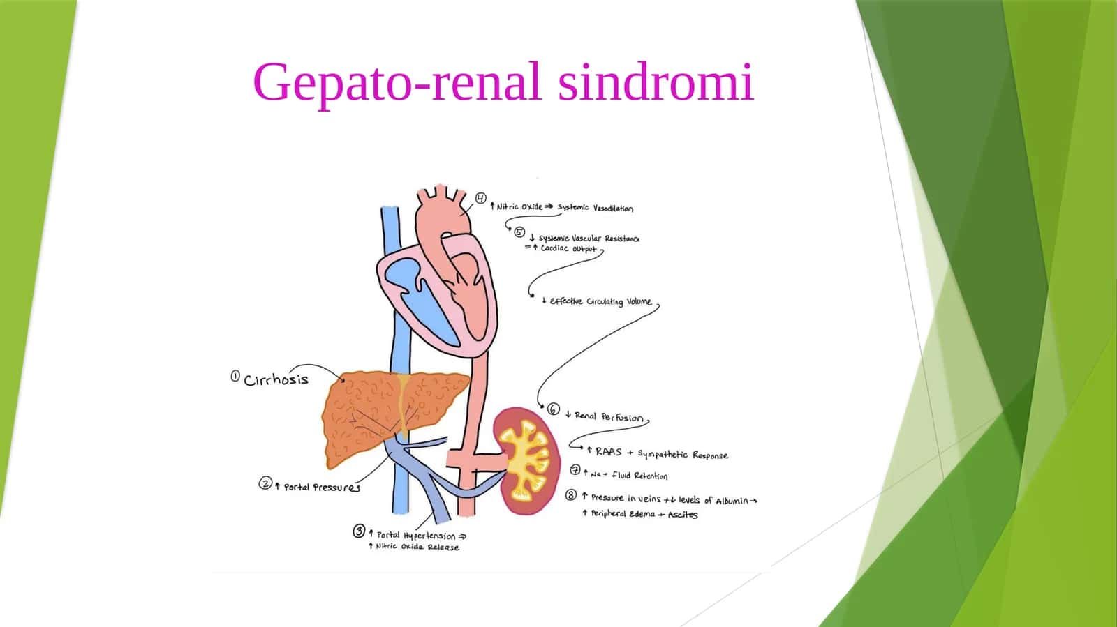Gepato-renal sindromi