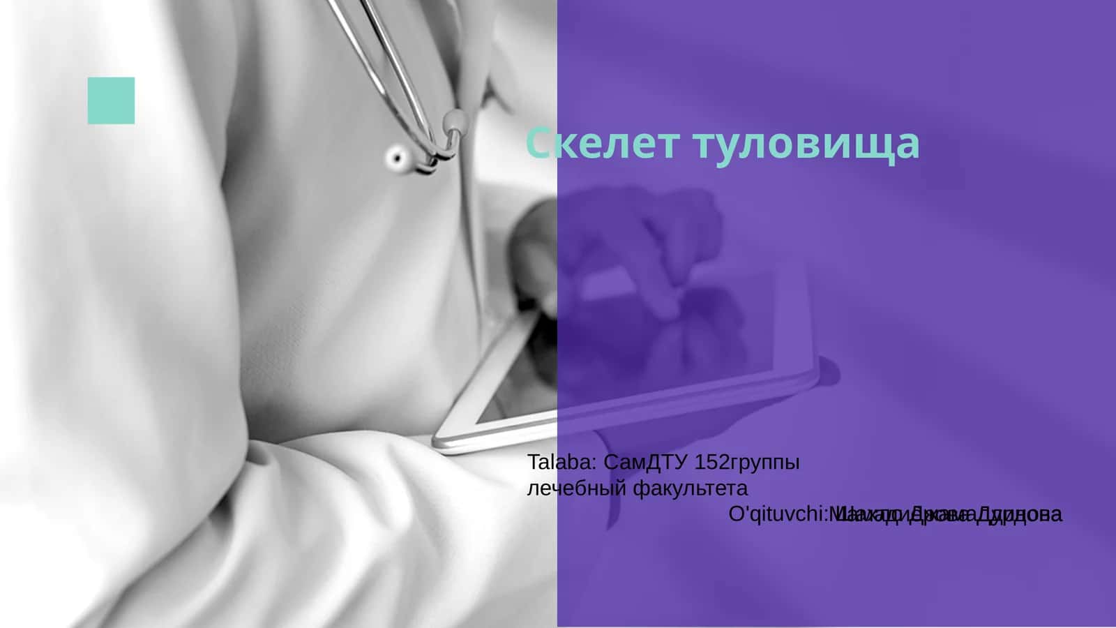 Скелет туловища
